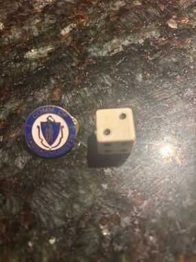 Commonwealth of Massachusetts Shield Pin - Blue and Gold Enamel
